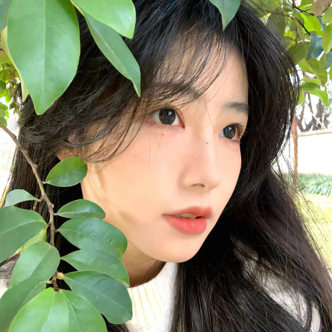 断线森林2